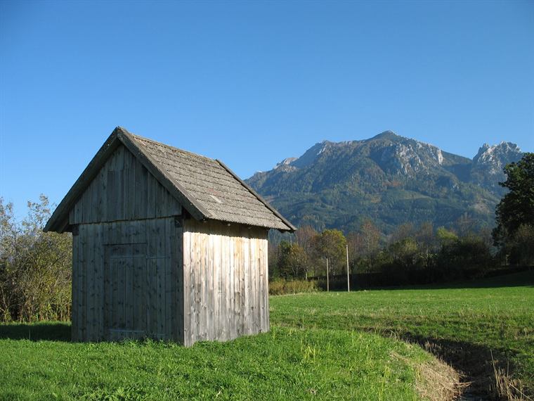 The yard shed with its painted board